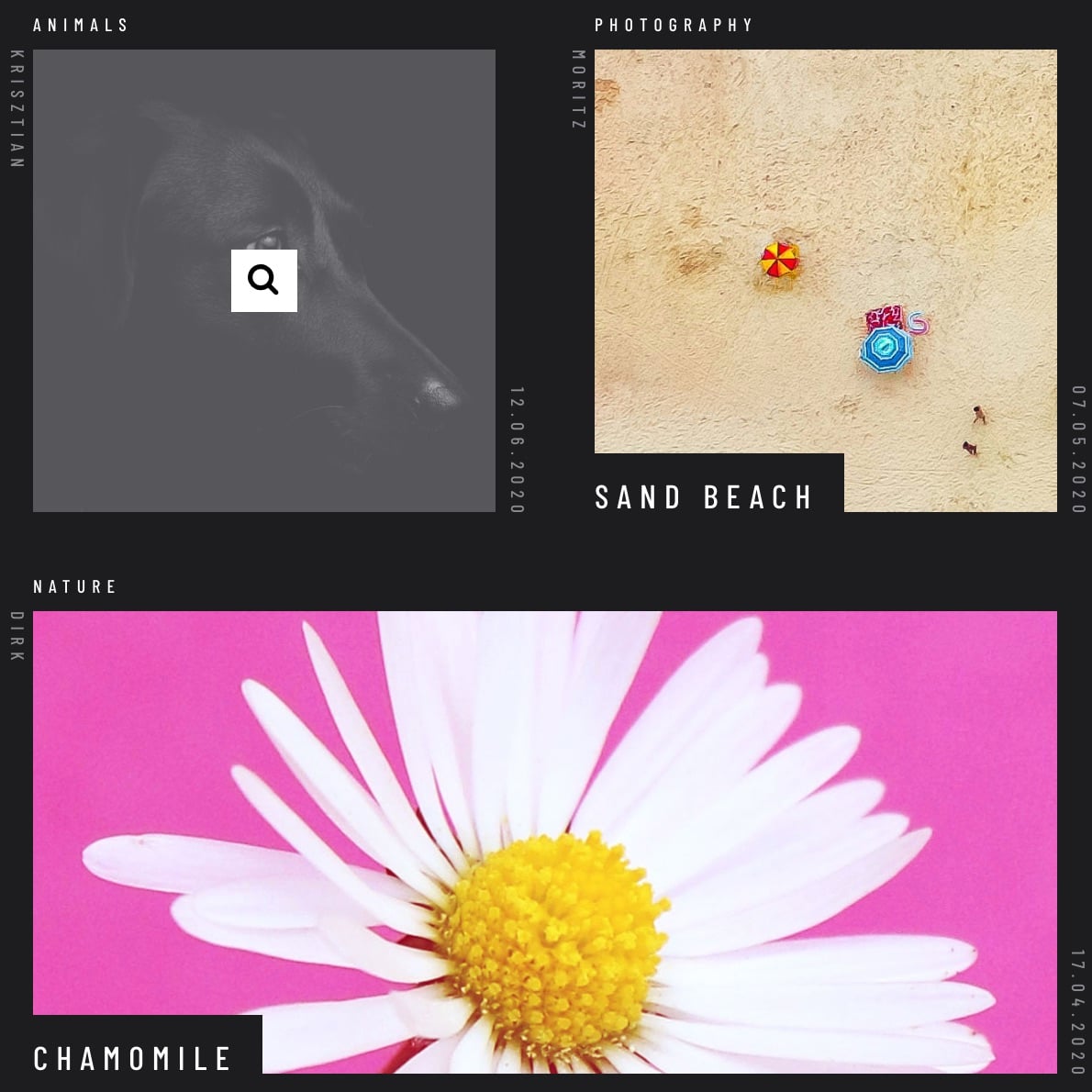 Ray Bourque WordPress Lightbox Gallery